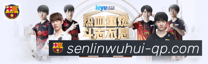 对战数据统计